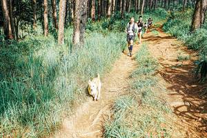 BIB: 
                            <button type="button" onclick="openModal(25653648)" class="btn btn-primary btn-sm float-right btn-popup" data-toggle="modal" data-target=".modal-high-quality">
                        <i class="fas fa-shopping-cart"></i> Add to Cart
                    </button>
                                            <button type="button" onclick="isThisMe(25653648, true)" class="btn btn-success btn-sm float-right btn-popup btn-isme hidden" data-toggle="tooltip" data-placement="bottom" title="นี่คือรูปของคุณใช่ไหม คลิกที่นี่เพื่อเอาเข้าอัลบั้ม">
                        <i class="fas fa-plus"></i> Add to album
                    </button>
                    <button type="button" onclick="isThisMe(25653648, false)" class="btn btn-warning btn-sm float-right btn-popup btn-isnotme hidden">
                        <i class="fas fa-ban"></i> Remove from album
                    </button>